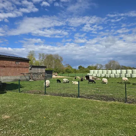 Ferienbauernhof Kruse Landleben Apartmán