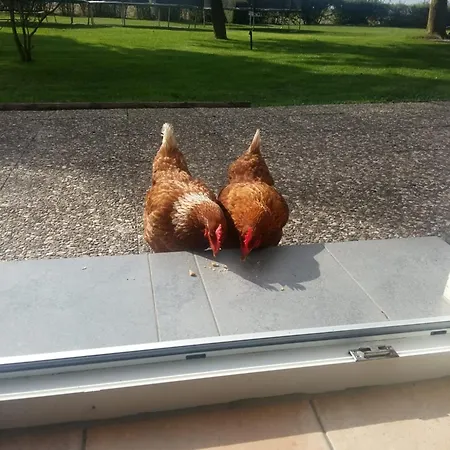 Apartmán Ferienbauernhof Kruse Landleben
